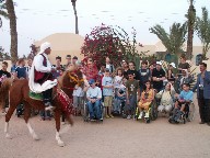 Thumbs/tn_Djerba2005_009.jpg
